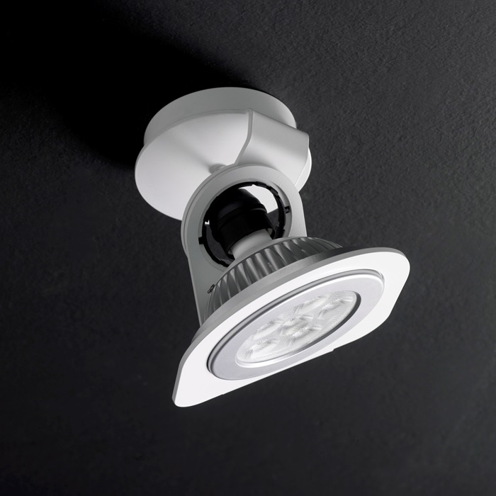 006895 Светильник 20200 Ole! Fox Santreyd - Вид №1