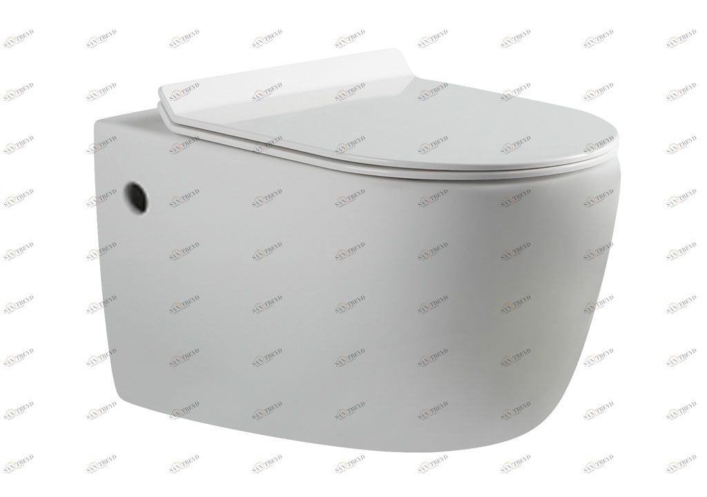 BL102NWHTH Подвесной унитаз настенный Белый Aquanet CETUS Китай