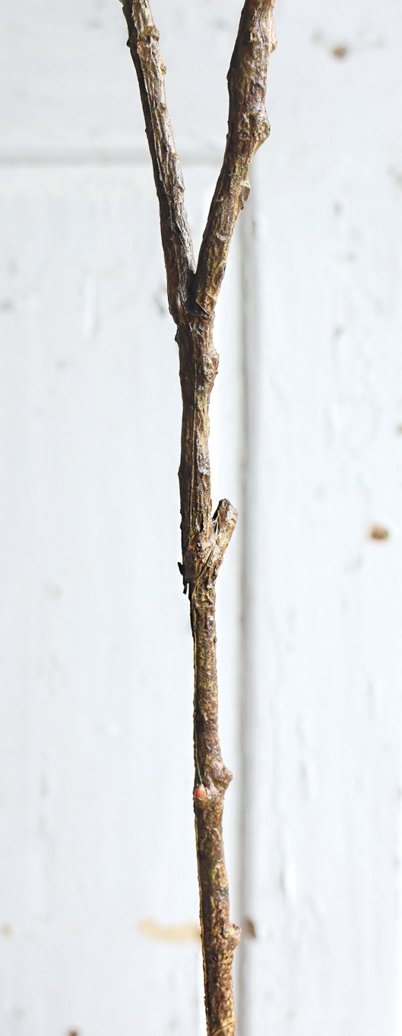 5355 888 a3 Стебель искусственного эвкалипта, 91 см, темно-зеленый H-andreas  - Вид №2