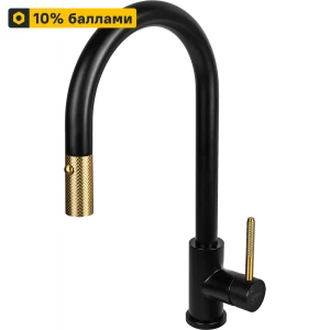 Кухонный смеситель DELINIA Арно с высоким изливом, черный 89352201