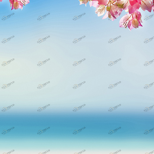 D1-004 Фотообои DIVINO Collection D 2.7х2 м D1004