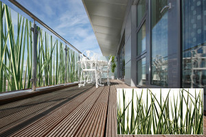 FSRT388 Стекло Vivspectra Zoom с прослойкой из драконьей травы  Forms-surfaces