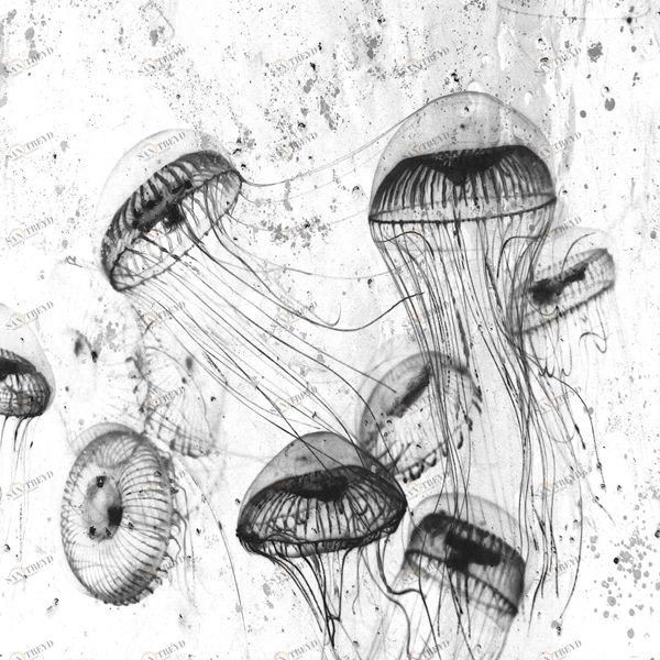 Арт-панель на холсте Alex Turco Underwater White Poison WHITEPOISON