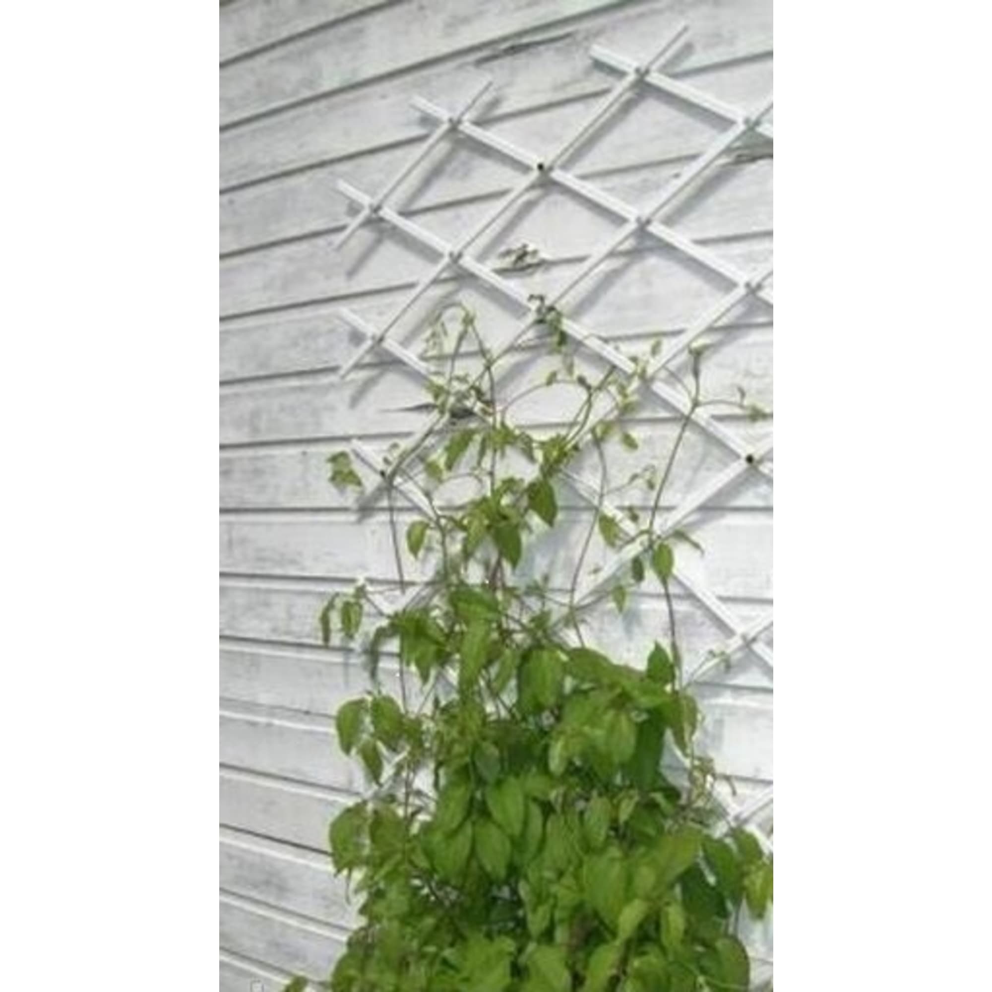 83823779 Шпалера для вьющихся растений 56x188 см Santreyd  - Вид №2