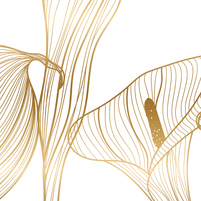 Стеновые панели - Голденкейс