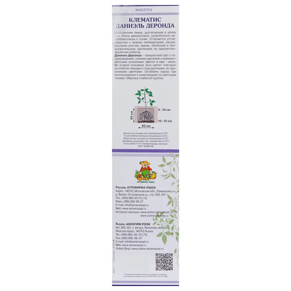 Клематис Даниэль Деронда в тубе Поиск Инвест 81951249 STLM-2012180 Santreyd  - Вид №1