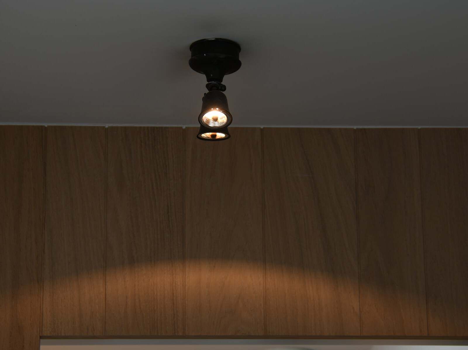 Латунь регулируемый светодиодный потолочный светильник Authentage Lighting Fleure Twin ARCH-00123881 - Вид №1