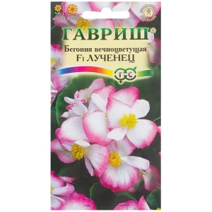 Бегония «Лученец» F1, h9, 5 шт. 81933411 STLM-2049317