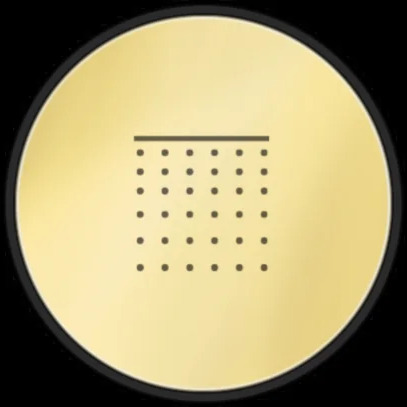 SP04254 246 Gessi Hi-fi ЗОЛОТОЙ PVD