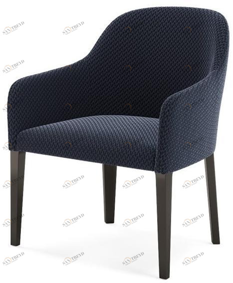 PRADDY Кресло из ткани с подлокотниками Beneke Ml245