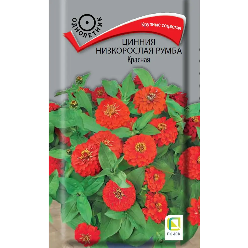Цинния Румба Красная от ПОИСК - яркие махровые соцветия для сада 89402700 STLM-1564622