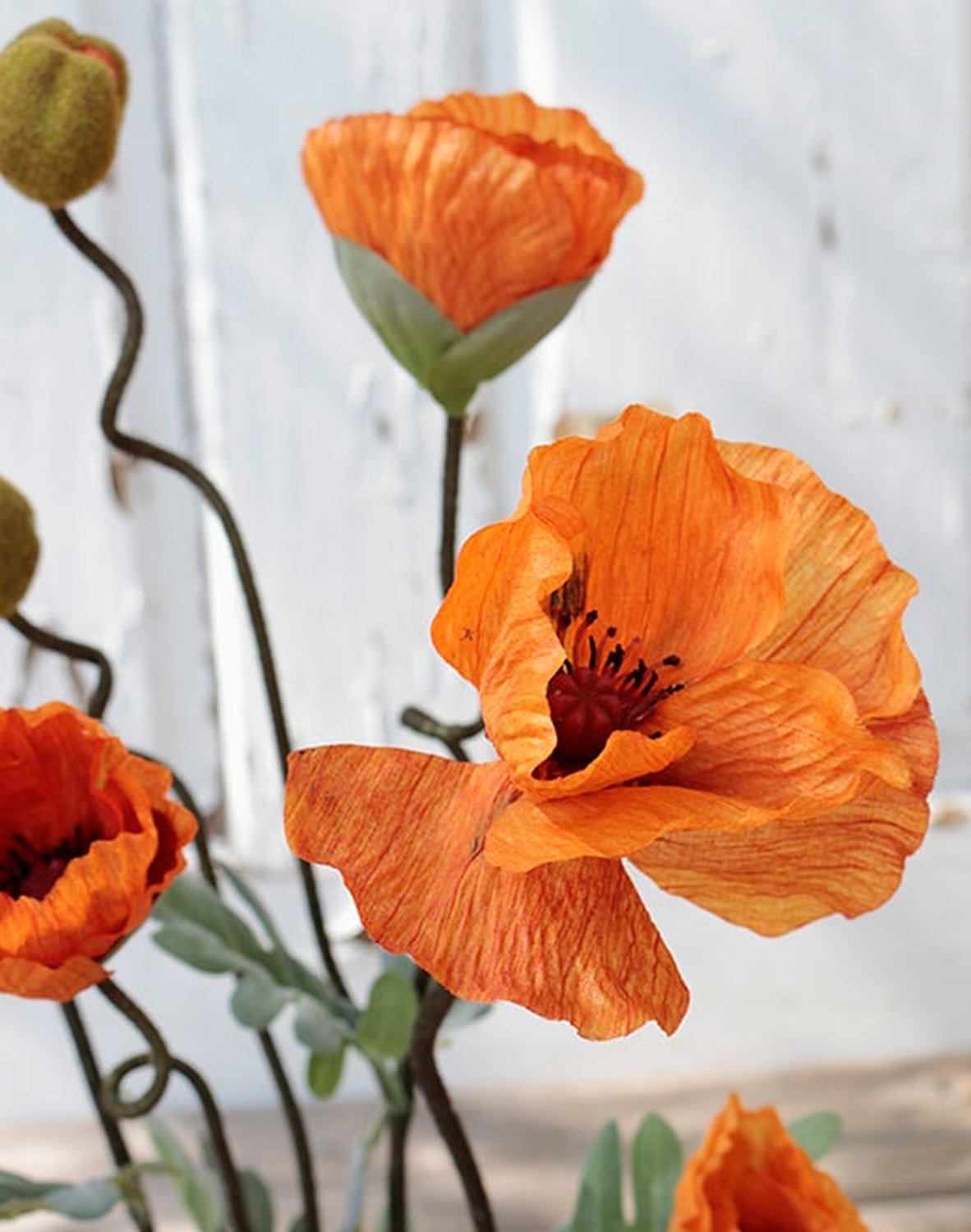 4524 334 a2 Мак шелковый, горшечный, 40 см, оранжевый H-andreas  - Вид №3