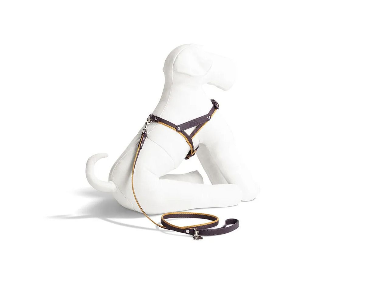 Шлейка для собак Poltrona Frau PET COLLECTION ARCH-00107668 - Вид №1