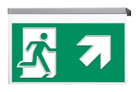 DST-2243 Vir-p Daisalux Светильники сигнальные Серебристо-Серый 