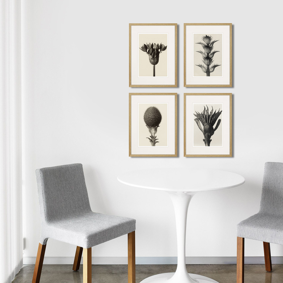 Картина: Botanical philosophy of forms №5, 1912г. КАРТИНЫ В КВАРТИРУ  264879 Разноцветный  - Вид №2