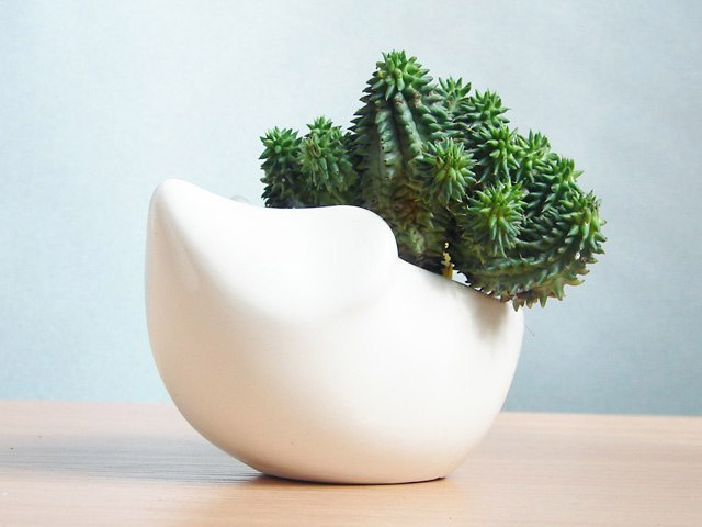 Набор для выращивания eco "Ёжик" ЭКОЧЕЛОВЕКИ  254569 Белый  - Вид №3