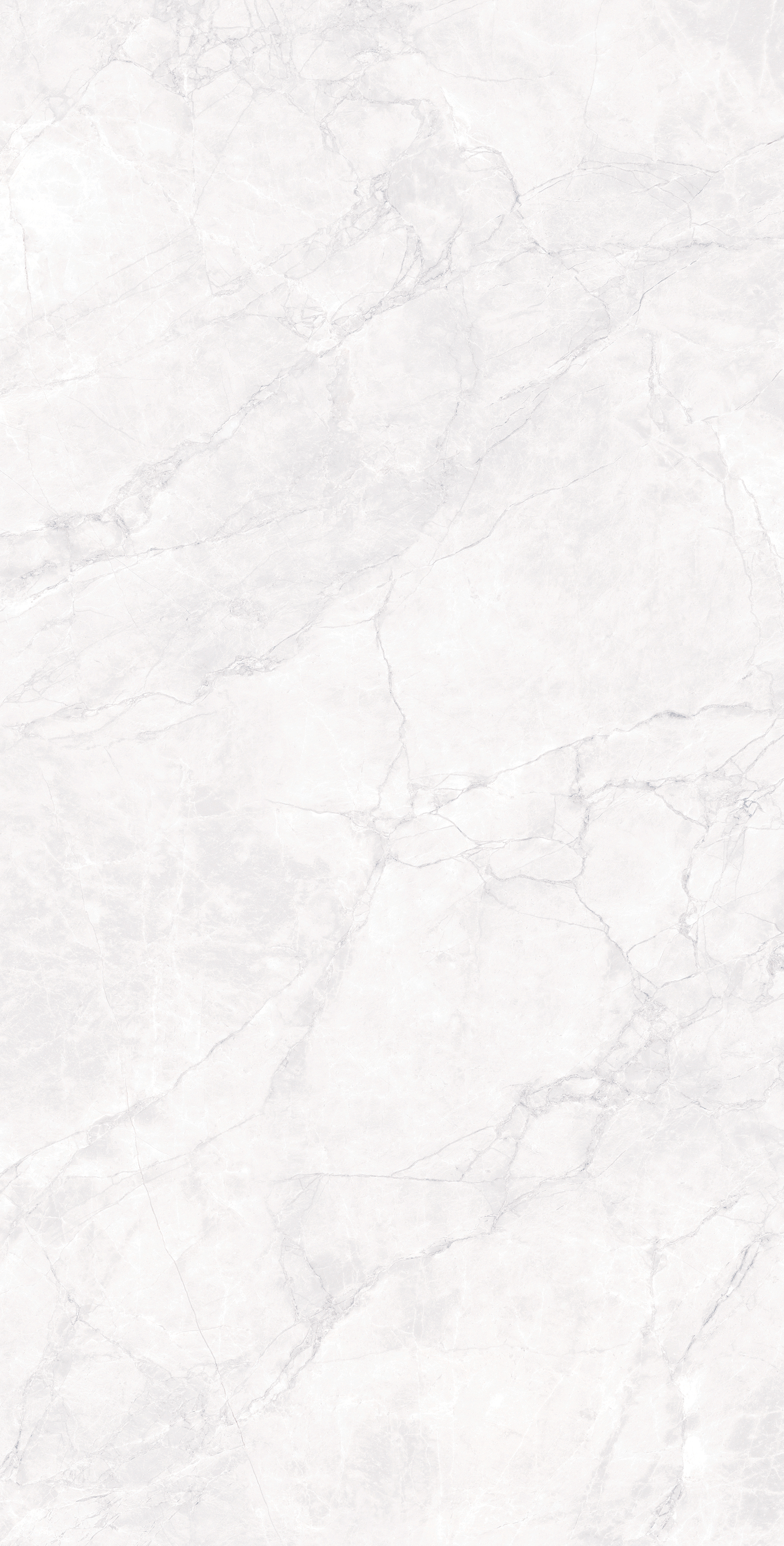 ARCTIC WHITE ARCADIA CERAMICA CR4007-A - Вид №4