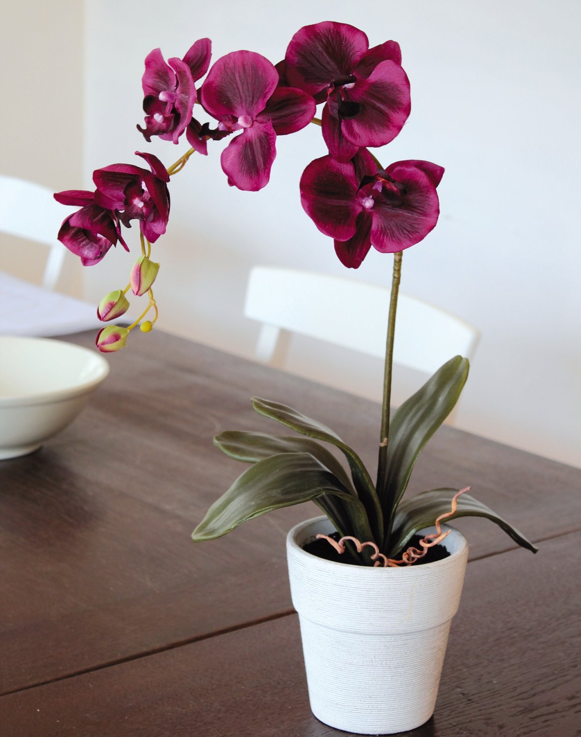 9805 490 a3 Орхидея Phalaenopsis, шелк, 60см, в горшке, красно-черная H-andreas 