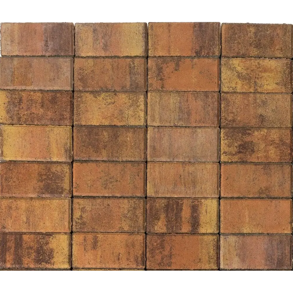 Плитка Тротуарная BRAER прямоугольник 200x100 мм цвет Прайд толщина 60 мм STLM-2015390 - Вид №2