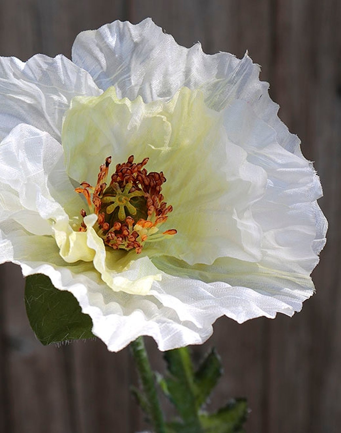 4558 733 a3 Мак синтетический, 1 цветок, 1 бутон, 74 см, бежево-желтый H-andreas 