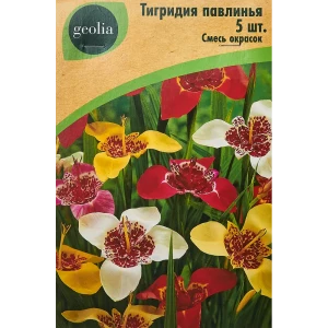 Тигридия Павлинья смесь окрасок 5 шт 86408667 STLM-2022916