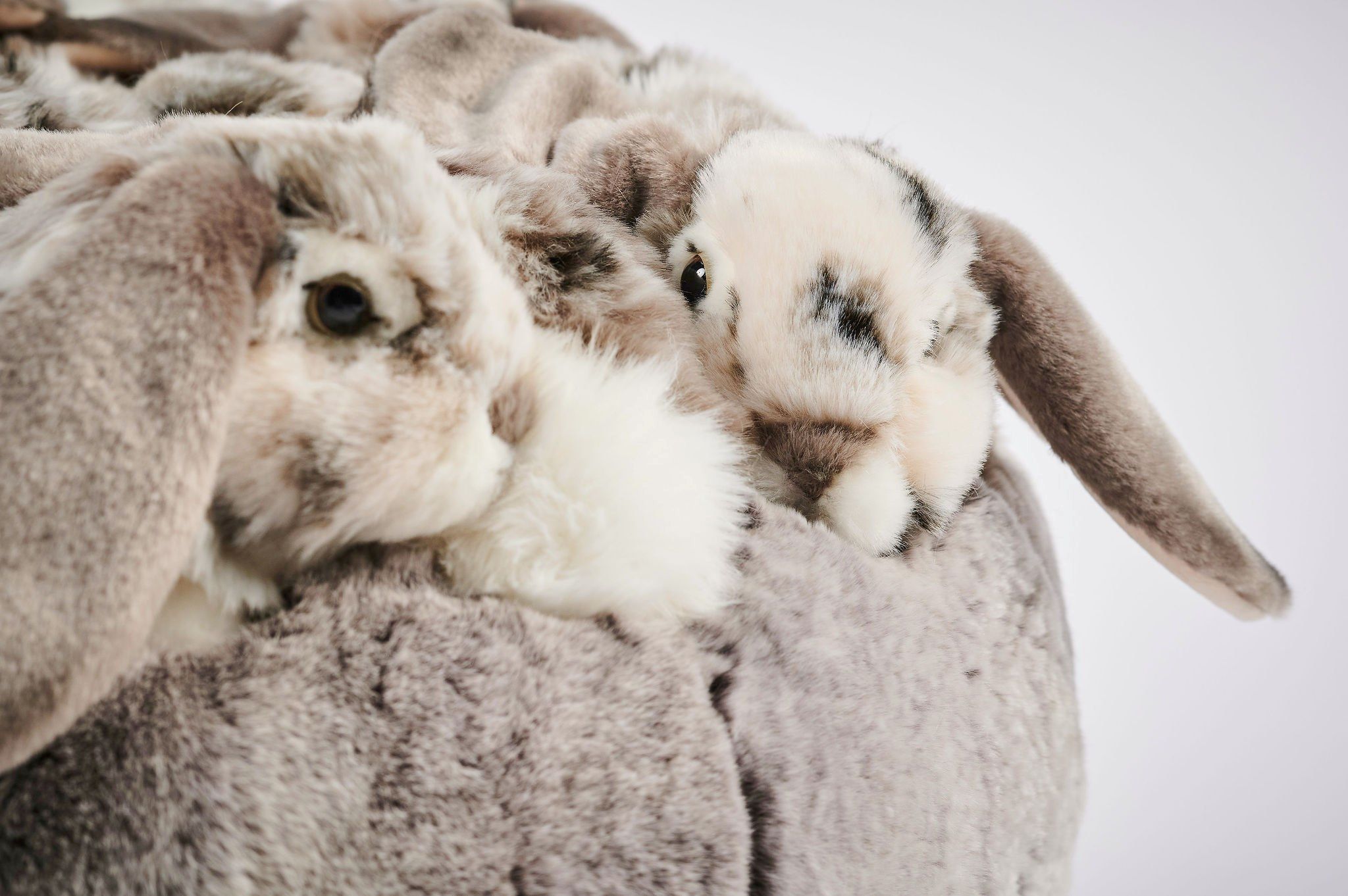 Полиэстер пуф APCOLLECTION Банни ARCH-00044229 - Вид №2