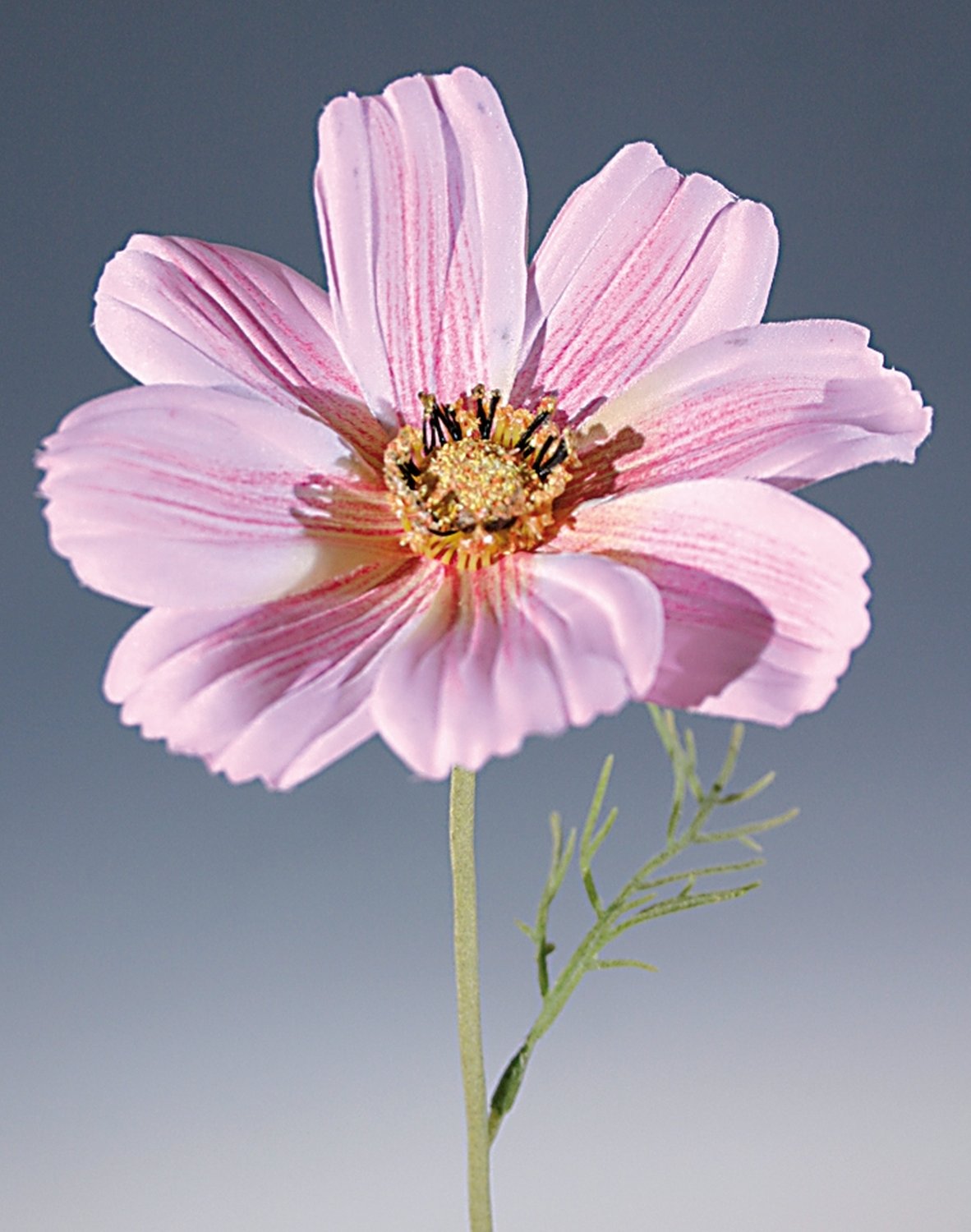 3077 505 a2 Искусственный космос, 95 см, светло-розово-темно-розовая H-andreas 