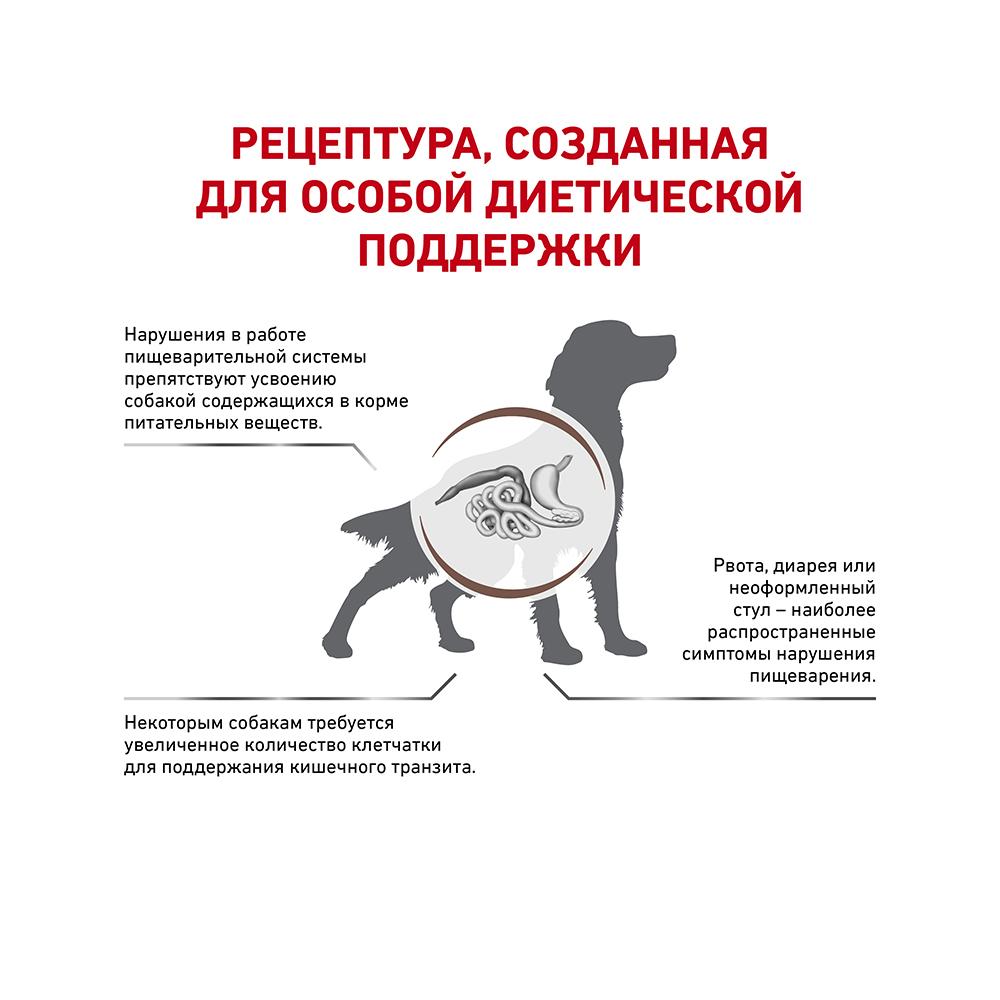 УТ0014096 Корм для собак Vet Diet Fibre Response FR23 при нарушении пищеварения сух. 2кг ROYAL CANIN  - Вид №2