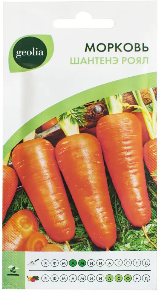 Семена моркови Geolia Шантенэ Роял — высокоурожайный сорт для вашего огорода 17585076