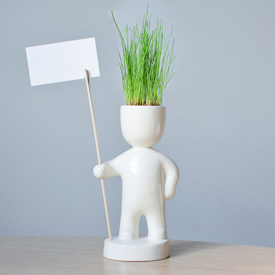 Набор для выращивания Eco Знаменосец ЭКОЧЕЛОВЕКИ ЕСO117 - Вид №3