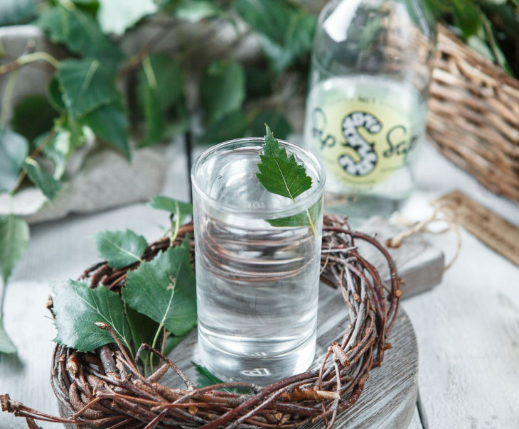 5250 Сок березовый с имбирем и лаймом Вкусляндия  - Вид №1