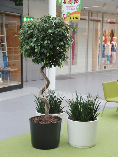 Nola Industrier Кашпо для общественных мест из стеклопластика Saturns pandora sun-id-1398513 - Вид №3