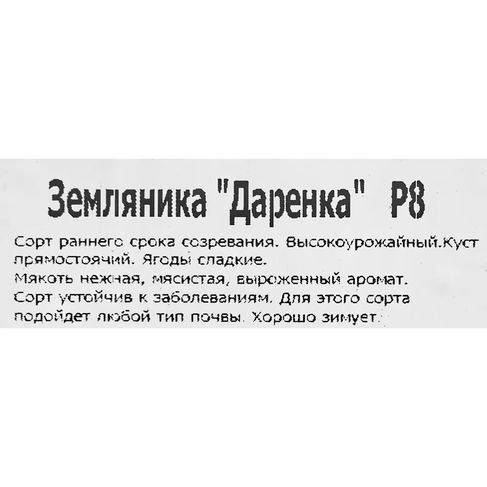 Santreyd Земляника Даренка - ранний сорт для обильного урожая 83597586 STLM-0959648 - Вид №1