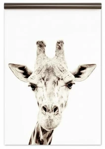 Groovy Magnets Магнитные обои Animal