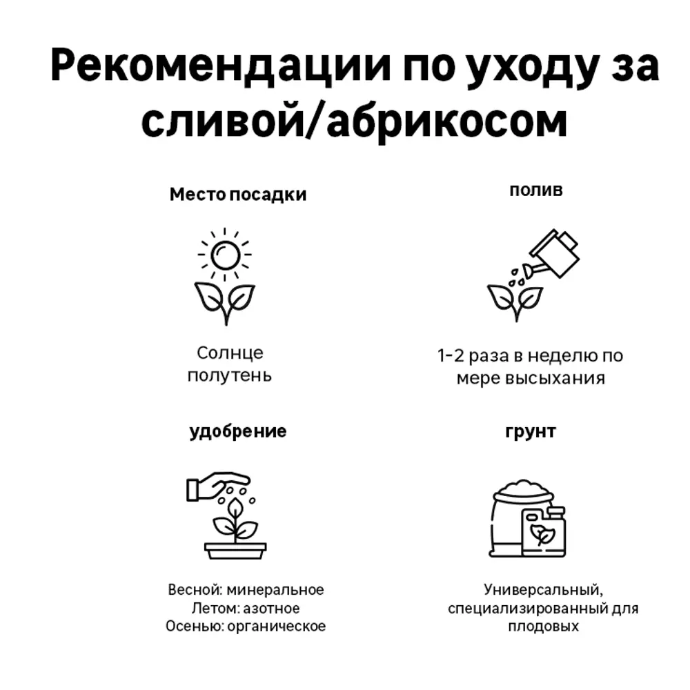 Абрикос колоновидный «Звёздный» C7 высота 110 см 82557747 STLM-2137369 ВСЕ В САД  - Вид №1