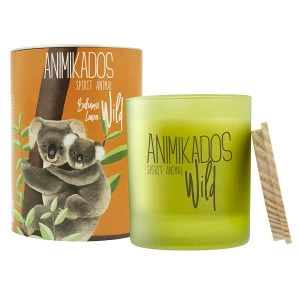 Свеча ароматическая Wild Koala "Бальзамические листья" AMBIENTAIR  00-3894995 Оранжевый