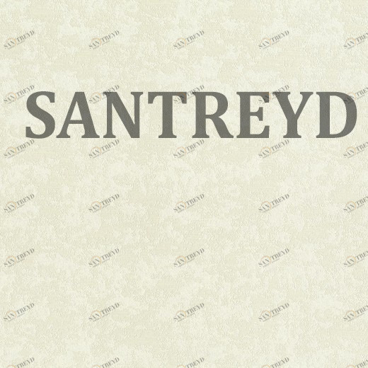 832327 Обои Rasch Maximum XV