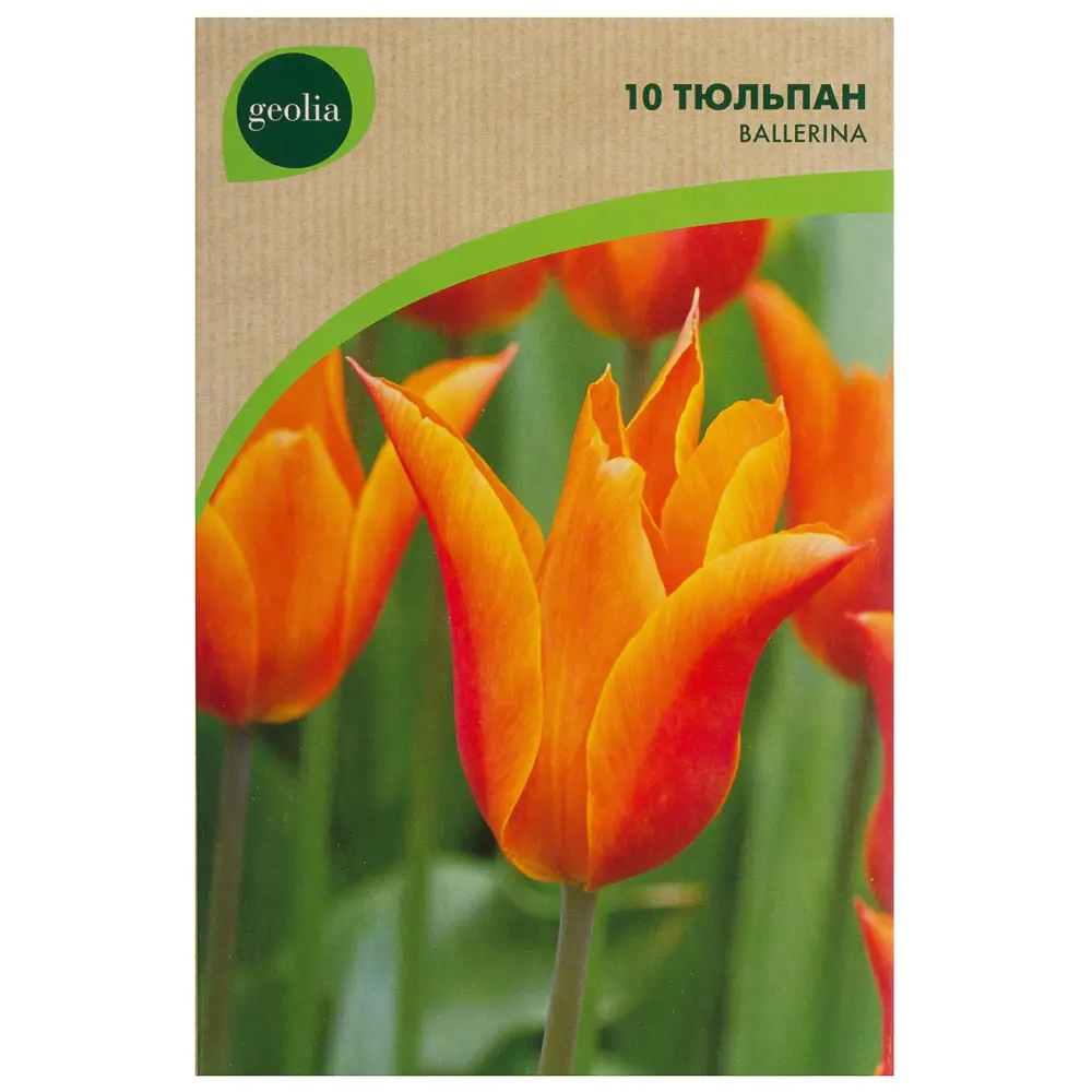 Тюльпан Ballerina GEOLIA 10 шт/9 18659031 STLM-2187627  - Вид №1