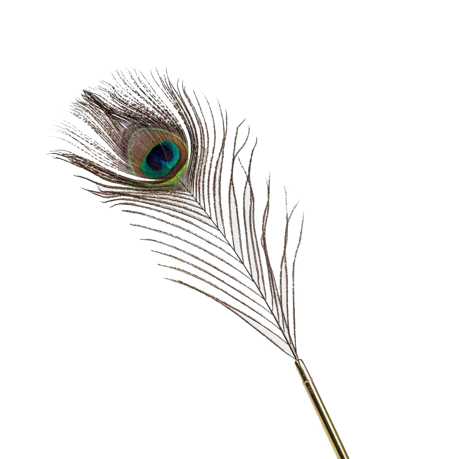 Ручка Peacock Hay 505731 - Вид №1