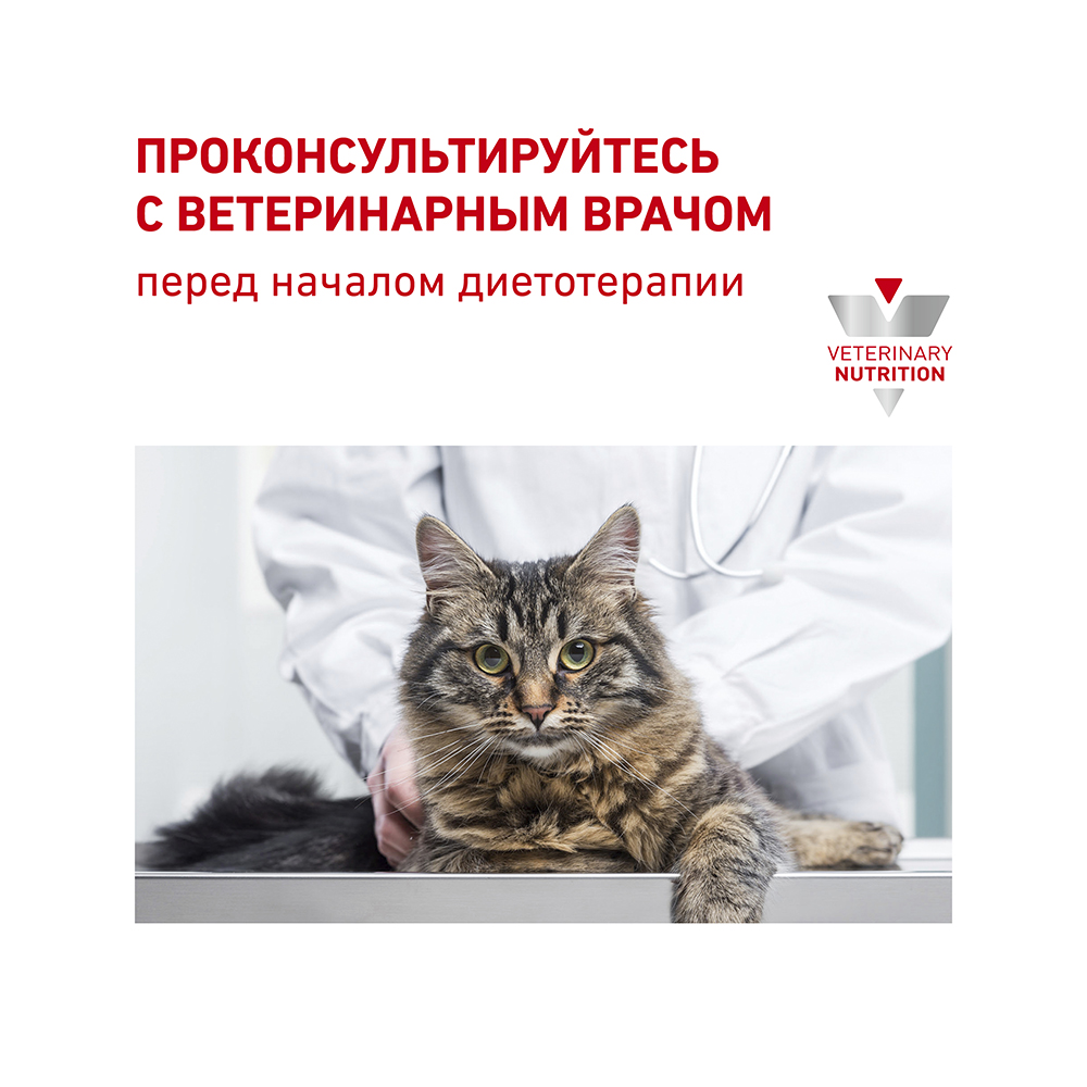 ПР0016158 Корм для кошек Vet Diet Hepatic HF26 при заболеваниях печени, свинина сух. 2кг ROYAL CANIN  - Вид №8