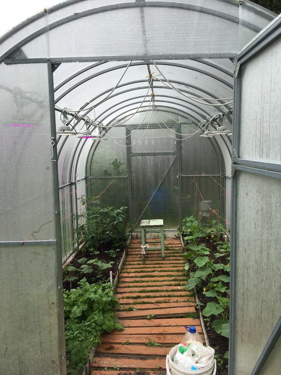 1311 Фитолампа UFO SMD 50 Watt LAB.Space  - Вид №15