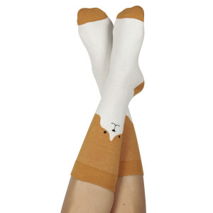 DYSOCKSDOG Носки , dog Doiy