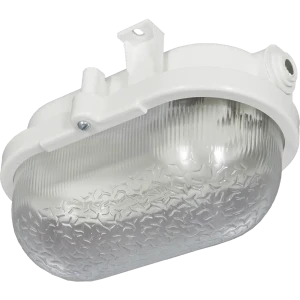 Светильник настенно-потолочный овальный НБП 01-60-002 IP53