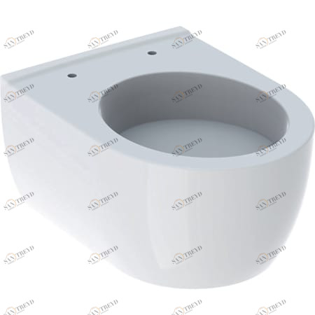 204030000 Подвесной унитаз настенный Белый Geberit  Германия 