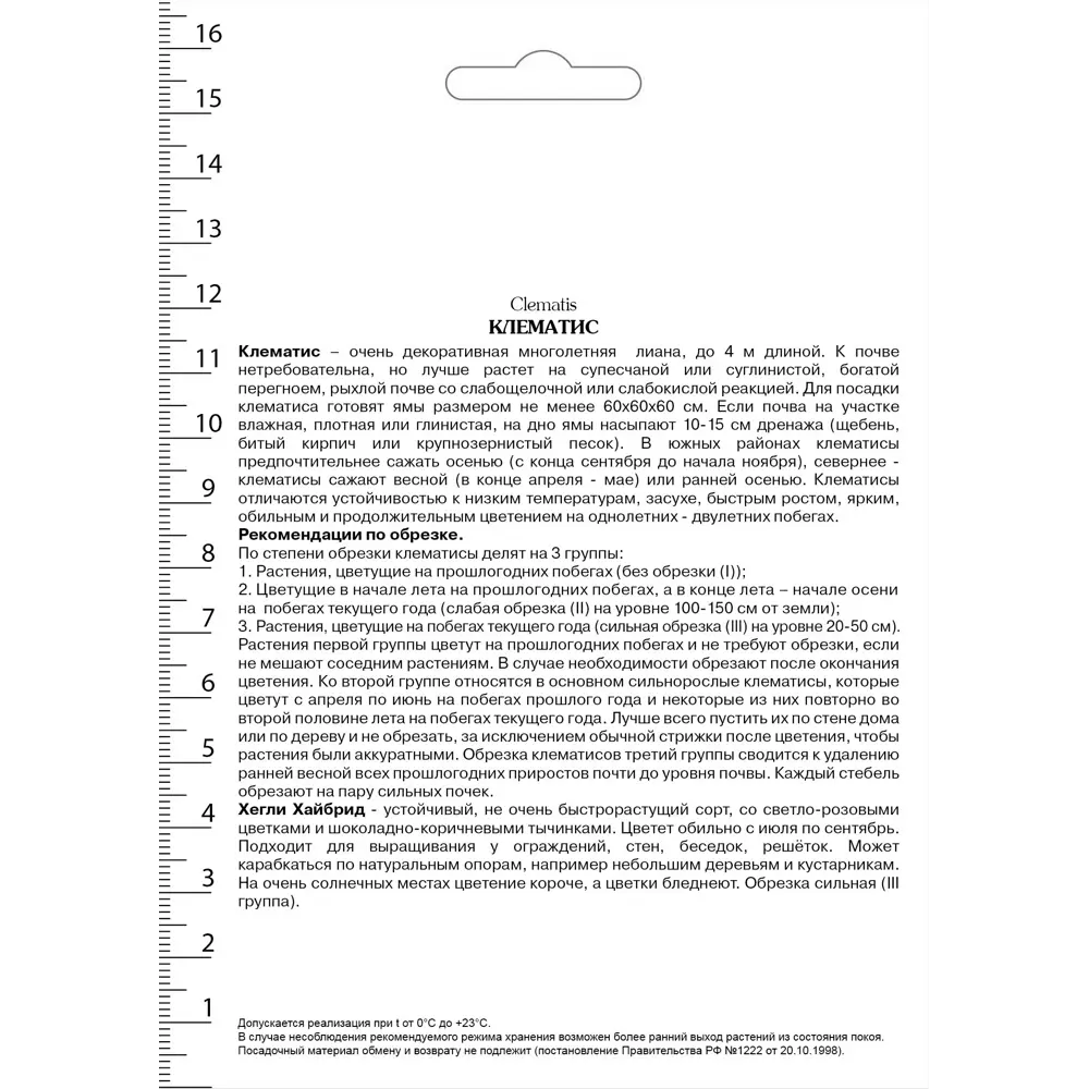 Клематис крупноцветковый Хегли Хайбрид в капере 82527590 STLM-2078255 Santreyd  - Вид №1