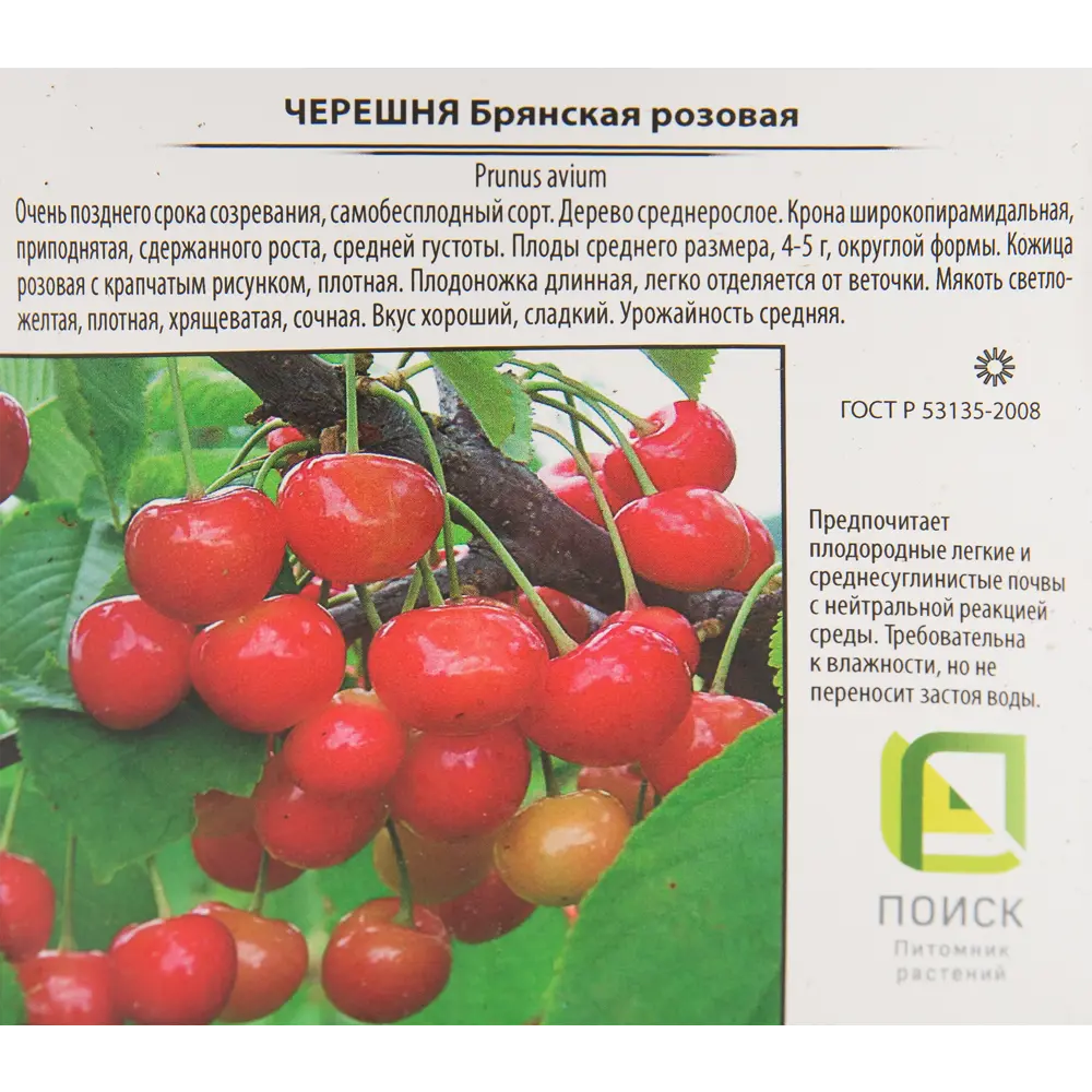 Черешня «Брянская розовая» 25x120 см 82585447 STLM-2106594 Santreyd  - Вид №1