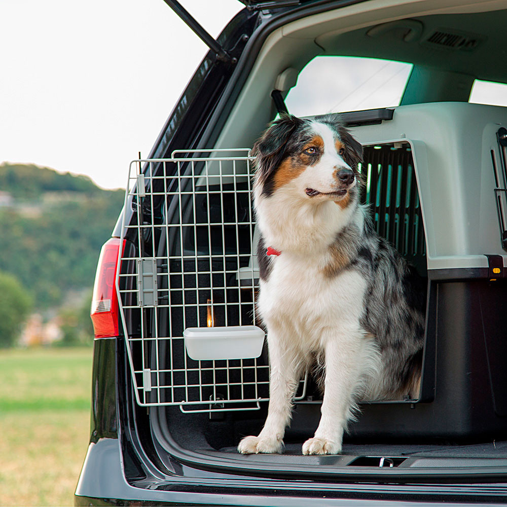 Т0054510 Переноска для животных ATLAS 60 PROFESSIONAL для крупных собак, 91х61х66,5см FERPLAST  - Вид №1