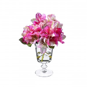 2000983229595 Композиция Рододендроны COSMO RED