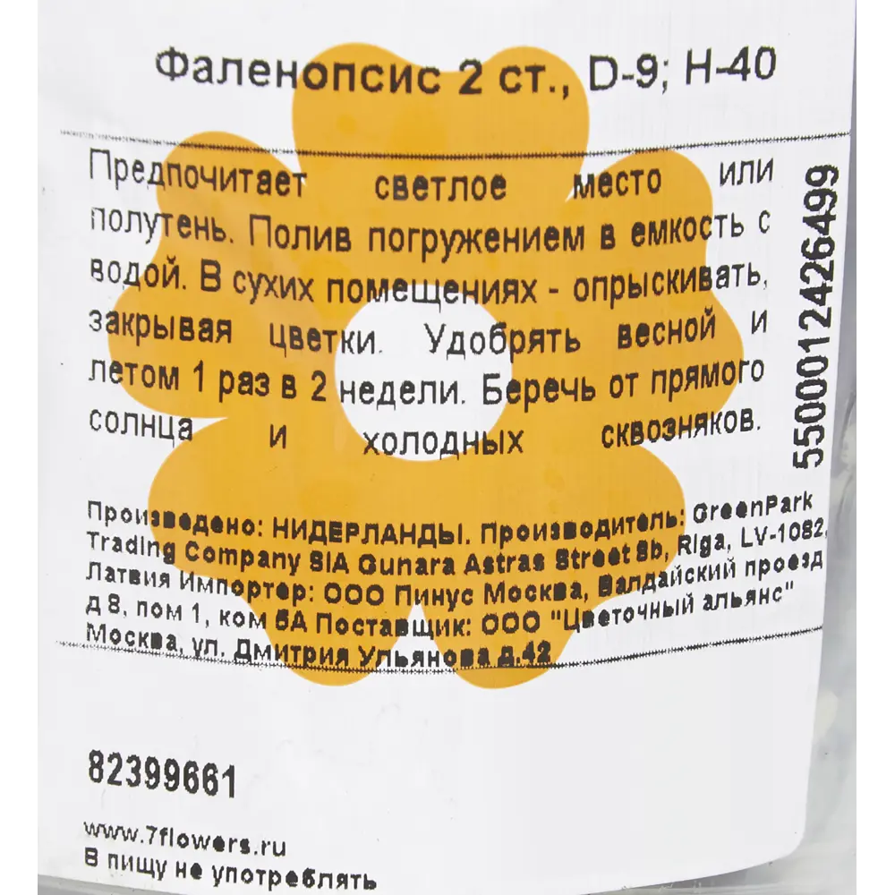 Орхидея Фаленопсис 2 стебля ø9 h40 см Цветочный альянс 82399661 STLM-2094327 Santreyd  - Вид №2