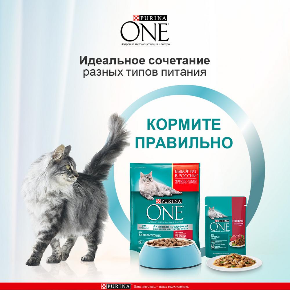 ПР0059656 Корм для кошек Говядина, цельные злаки сух. 750г ONE  - Вид №4
